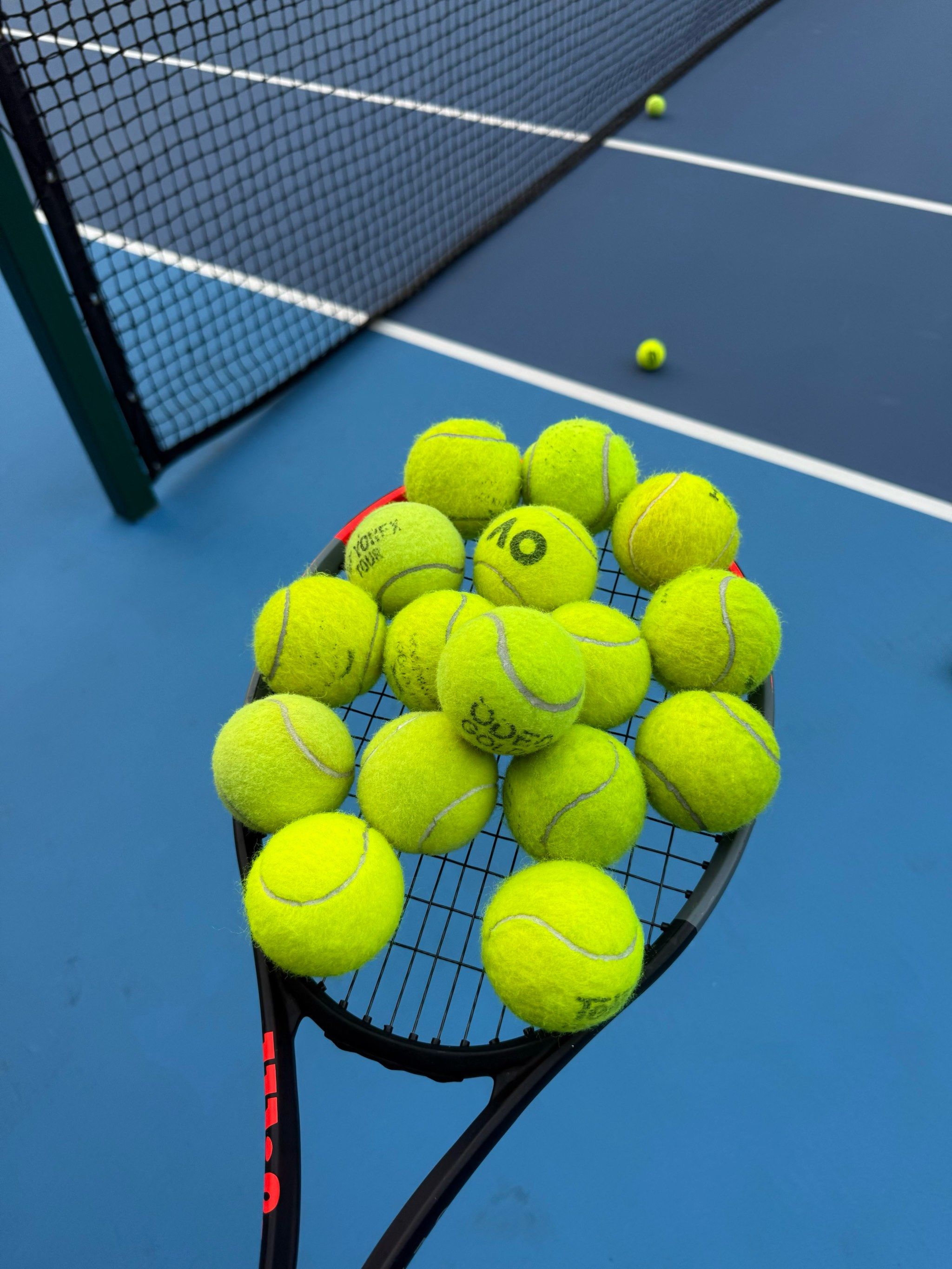 但转会能否 但转会能否