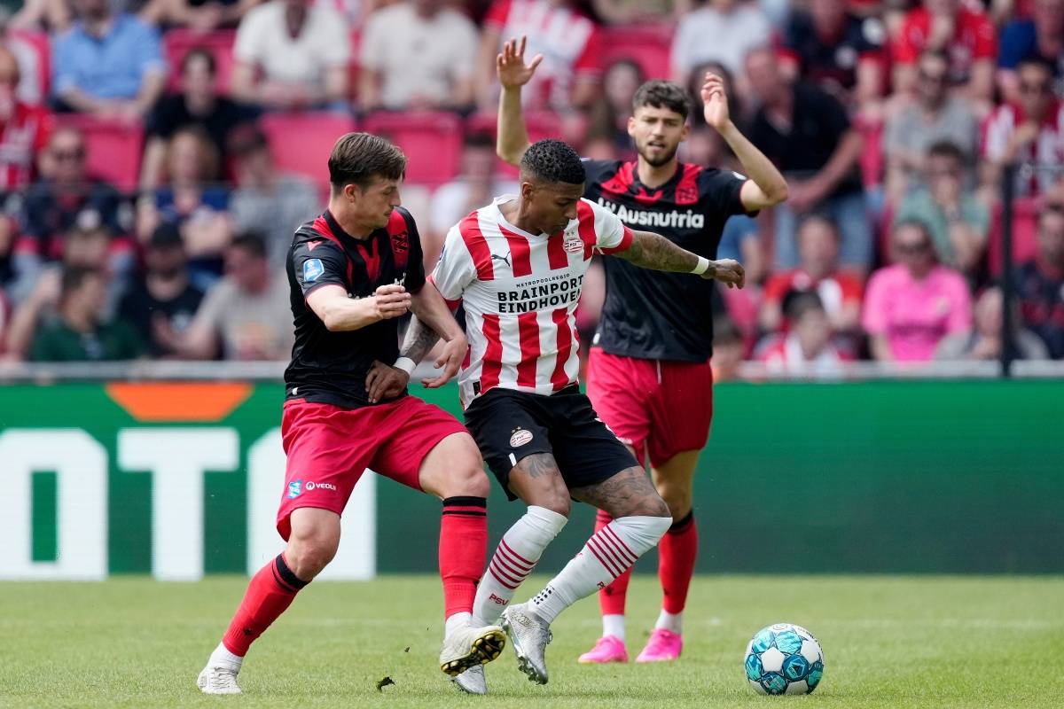 豪华阵容亮 豪华阵容亮