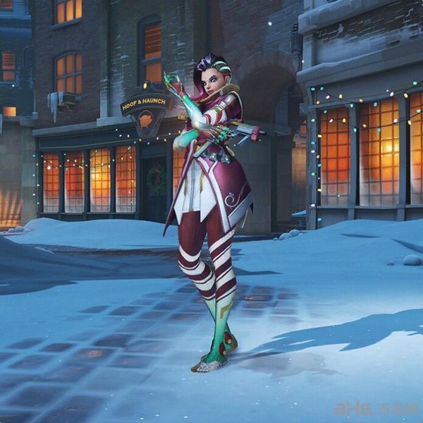 整与适应 整与适应