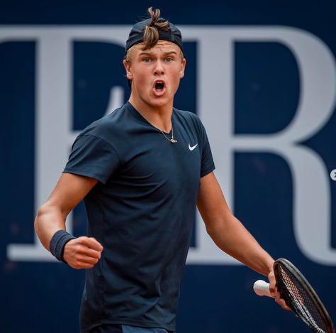 比利时德迪 比利时德迪