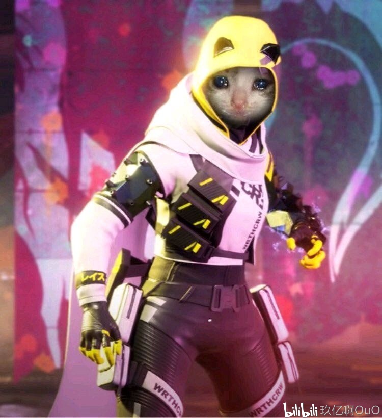 三分雨与护 三分雨与护