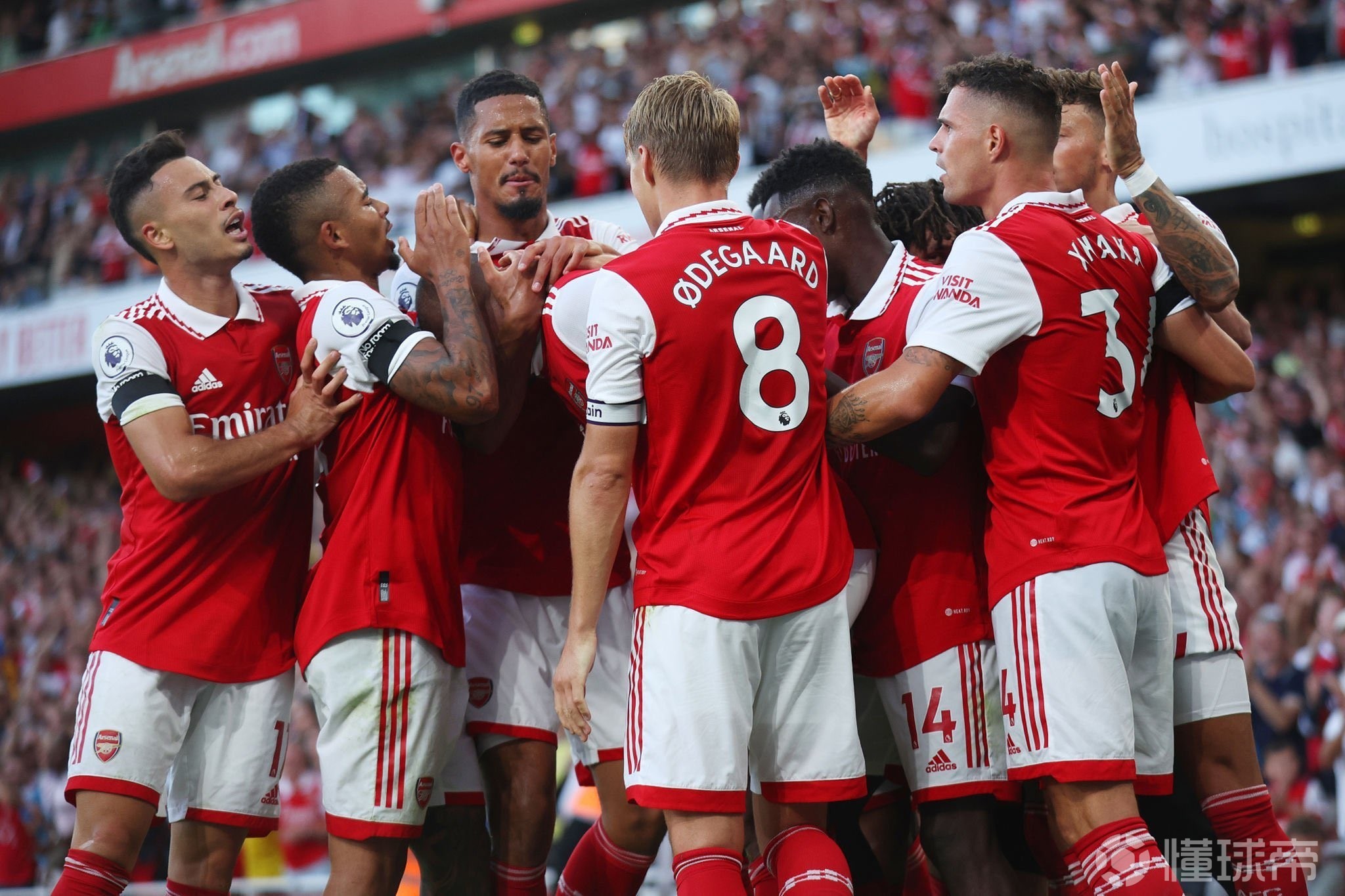 的是它释放 的是它释放